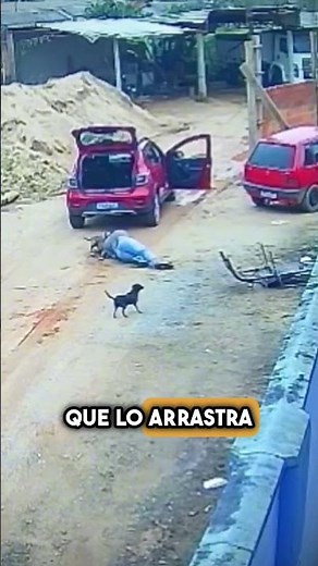 Un pitbull fuera de control… pero este hombre no entra en pánico #shorts
