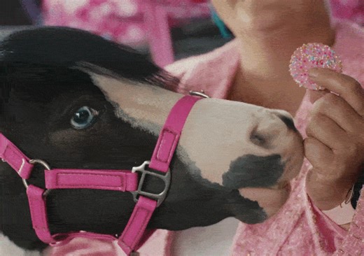 Griffin's captures a day in the life of New Zealand to launch its new 'Life Needs a Biscuit' campaign via Motion Sickness, Tuesday Club and PHD