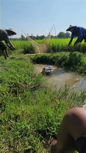 Irrigation System #usa #unitedstates #villagelife