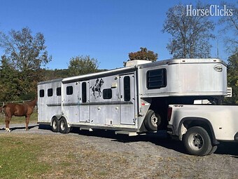 Used Horse Trailers for Sale | HorseClicks