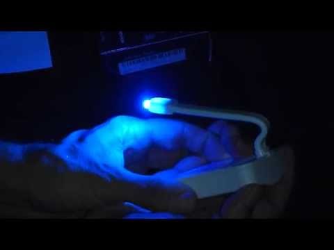 HeyMate Motion Activated Toilet Night light 8 Changing Color LED Toilet Bowl Light