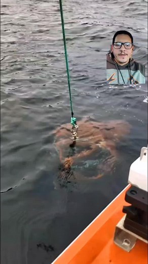 Dna Reptiles on TikTok