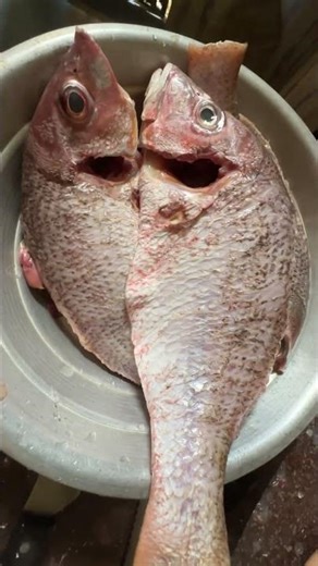 How to cut and clean Red Snapper #fish #food #ytshorts