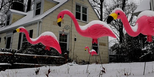 Snow in the South? Winter weather alerts issued for Houston, New Orleans