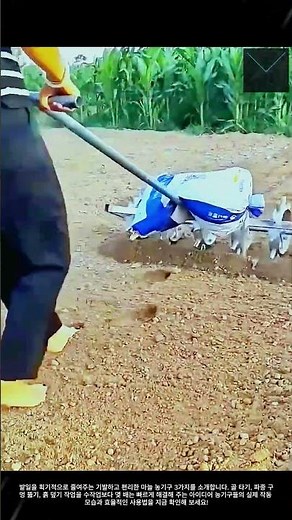 골타기부터 파종까지! 마늘 농사 필수 아이디어 농기구 사용법 #worker #process #farmlife #garlic #equipment