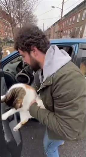 Man Rescues 100 Cats Trapped in Car! #Rescue #Cats