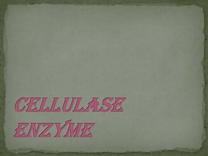 Cellulase enzyme - SlideServe