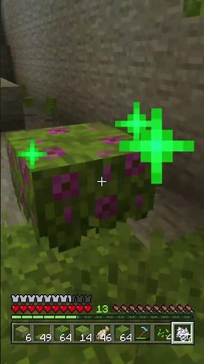 Moss Block Is SUPER Useful?! Minecraft Top Tip