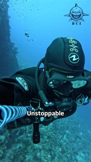 8.2K views · 843 reactions | #unstoppable #scubadiving #sealife #diving #adventure #vacation #travel #travellers #beach | Dive Craft Instructor | Facebook