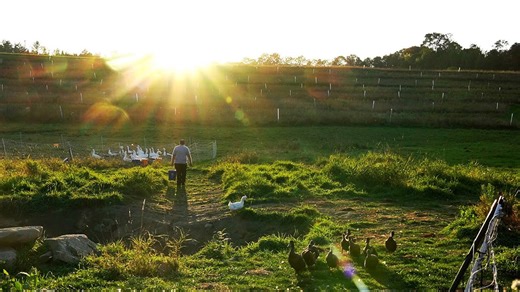 Exploring the most magical town in Vermont during the Peacham Fall Fondo