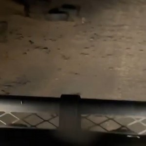 Have you ever seen a carpet of mice? 😧 The NSW town of Walgett is experiencing a plague of mice after heavy rain attracted rodents to the wheat-farming region. Credit: Danny Petty via Storyful | The Australian