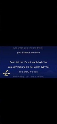 Bryan Addams - (Everything I Do) I Do It For You Lyrics / Letra