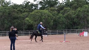 Here’s the full video from this mornings demonstration for our good friends at ‘Southern cross Extreme Cowboy Racing’, where my wonderful ‘Australian Stock Horse’ Stallion ‘Excee Dreaming of Abbey’ and I, had the great pleasure of showcasing some of the obstacles for todays competition. We hope you all enjoy the ride. Well done Dreamer my boy, you’re a superstar mate. | Guy McLean