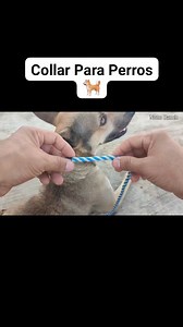 Cómo se hace un collar para perros 🦮👉💯😉 NONO RANCH Adventure | Nono Ranch