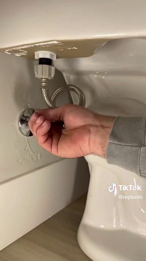 Installing a Quality Glacier Bay One Piece Dual Flush Toilet