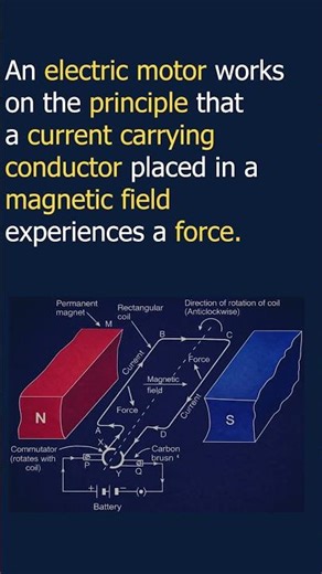 Electric Motor Principle Explained | Class 10 Physics | Magnetism Chapter #physicsshorts