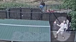 12K views · 251 reactions | An Australian zoo's livestream is designed to keep people entertained at home, but it’s animal keeper Adam’s dance that has since gone viral. STORY: https://bit.ly/2WBqblr | WKRN News 2 | Facebook