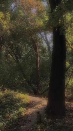 Exploring the Enchanting Forest: A Journey into #Weirdcore and #Goblincore Aesthetics