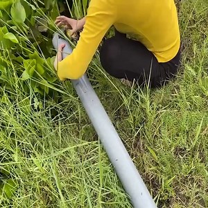 3.9K views · 44 reactions | Trapping So Many Giant Eel Fish With Primitive Technology | Nandini Kumari | Facebook