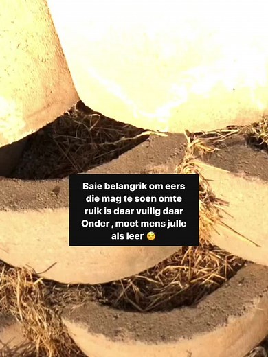 Exploring Unique Outdoor Structures and Environments