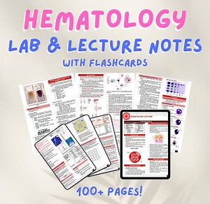 Hematology 1 - Lab & Lecture Notes With Flashcards: Medtech Study Guide (printable Summary) - Etsy