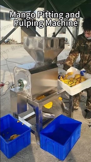 mango pitting and pulping Machine