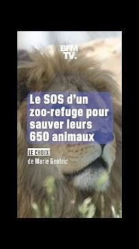 Le SOS d'un zoo-refuge en Eure-et-Loir pour sauver ses 650 animaux
