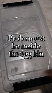 Requested Video about DIY Incubators 😊 A Big Thank you to Seth Angala who owns Pythons Unlmtd. Who shared his DIY Coleman Incubator and Egg tub setup Three types of Incubator *Box Type *Fridge Type *Maternal Incubation Sorry late upload.. nging busy ang ferzon.. | House of Pythons