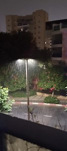 Тропический ливень.. | Elena Leschinsky