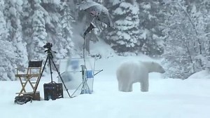 This new Samsung commercial is quite interesting. Watch while a real bear washes his clothes in a new Samsung washing machine. Good humor and creativity are on display in this advert, but who knew bears wore boxers? | John Thomas