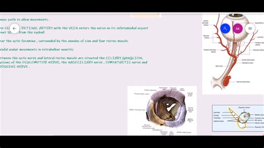 INSIGHT OPHTHALMOLOGY ｜NEURO-OPHTHALMOLOGY