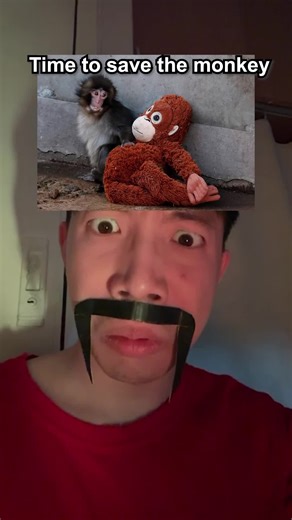 Saving the Monkey: A Heartwarming Story from Japan