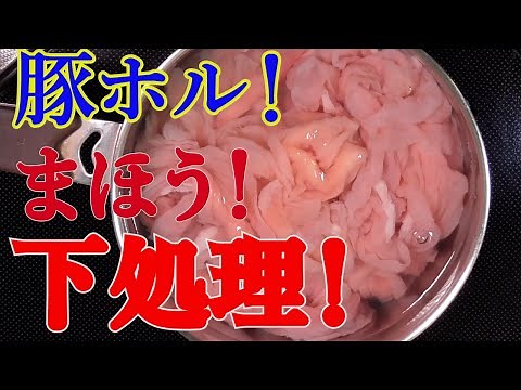 【白モツ！まほうの下処理！】最強の激ウマにする仕込み方法！