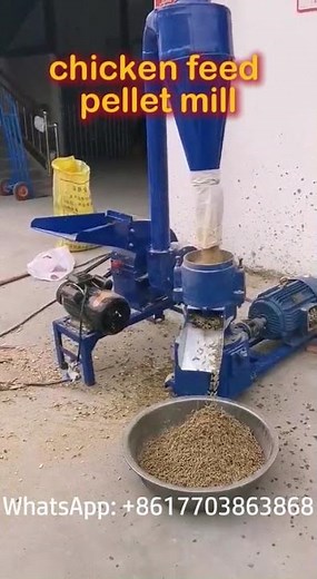🐓Small Chicken Feed Pellet Mill — Turn Raw Powder Into Feed in Seconds!