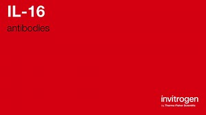 IL-16 antibodies from Thermo Fisher Scientific