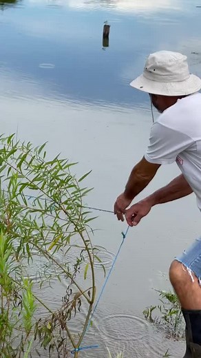 2.9K views · 63 reactions | Minnow bucket #fishing #minnowbucket #farmlife #kentucky | Kentucky Farm Life | Facebook