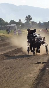 A different style of cowboy in the Philippines… currently editing my first experience of this in Nueva Ecija. Here is a glimpse 🐃🇵🇭💪 #BecomingFilipino #Cowboy #Philippines #Racing | BecomingFilipino