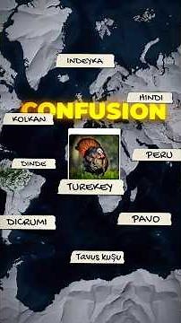 confusing Name of TURKEY! #shorts #facts #history #turkeybirds