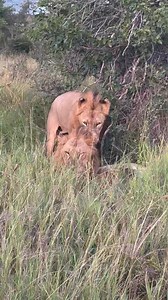 33K views · 573 reactions | A heartwarming moment between these three...