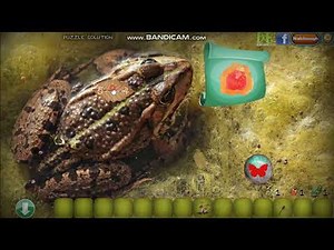 Swampy Forest Mystery Walkthrough Video