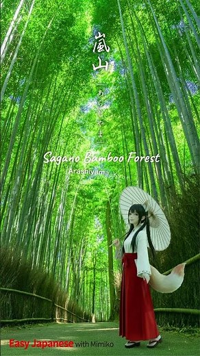 The Sound of Kyoto 🎧🎋 | Sagano Bamboo Forest #shorts