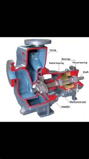 💥 Bearings in Pumps #pumps #Bearings #QC_Rotating_Equipment #Maintenance_Tips #Reliability #API #EngineeringSkillsAcademy | Engineering Skills