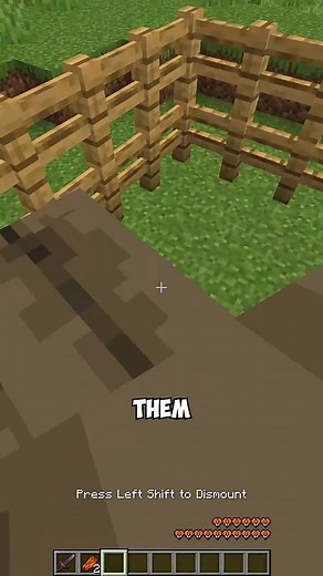 How to Craft NETHERITE HORSE ARMOR in #minecraft | AcookieGod