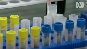 We've enjoyed bringing you the fascinating and eye opening series #KeepingAustraliaAlive. For every episode, head to ABC iview. | ABC iview