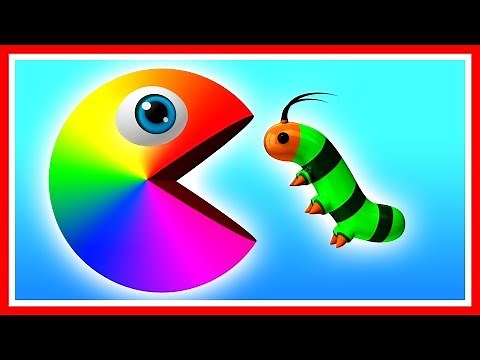 Join Pacman and learn colors as he finds a caterpillar, spider, moth, and travels down a magic slide