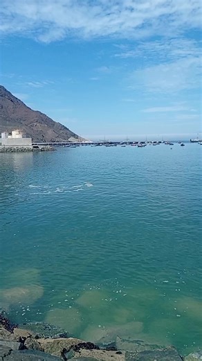 Videos de usearaucanoam (@magnoaraucano) con “sonido original - ×͜×ʀᴏʙᴇʀ 💎𝐌u𝙎īᥴª🎧”