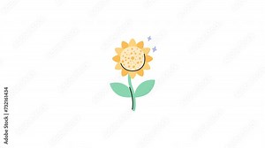 sunflower animation with looping , 4k resolution, and Alpha Channel