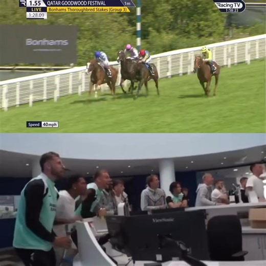 291K views · 2.2K reactions | Brighton & Hove Albion players, some of whom co-own Seagulls Eleven watching him win at last week’s Qatar Goodwood Festival ❤️ goodwood_races Manor House Stables | Racing TV | Facebook
