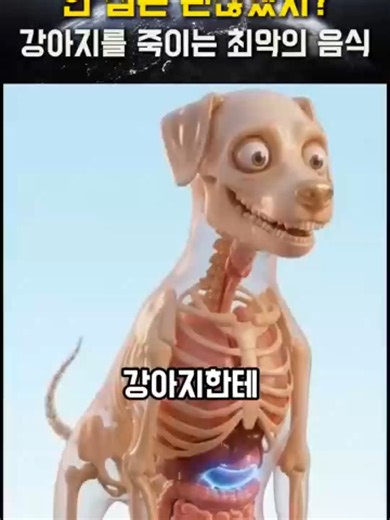 강아지와 삼겹살: 주의해야 할 독성