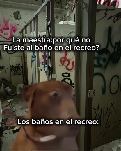 Memes y Baños: El Fenómeno Skibidi En La Escuela